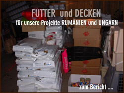 Futter und Decken f&uuml;r Tierheim