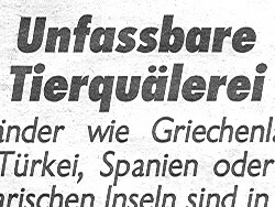 Hundeelend