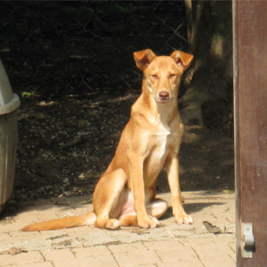 june
