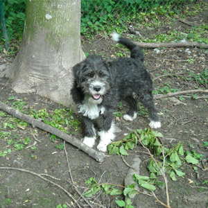 zoe