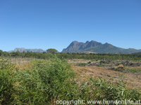 Im Natur-Reservat
