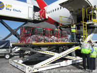 Verladen der L&ouml;wen am Flughafen M&uuml;nchen