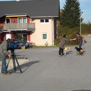 atv bericht