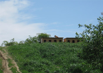 hundhuetten