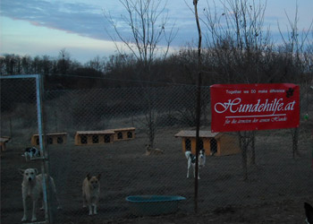 hundehuetten