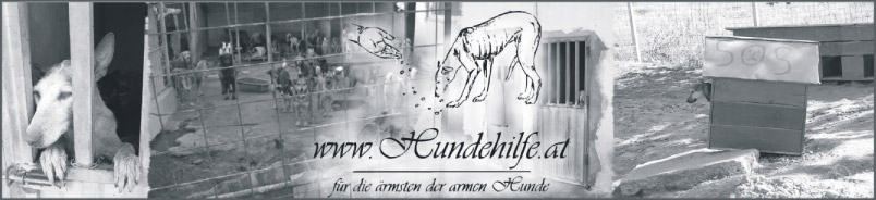 Logo Hundehilfe