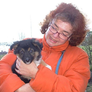 pongo