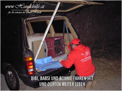 Bibi, Babsi und Bonni