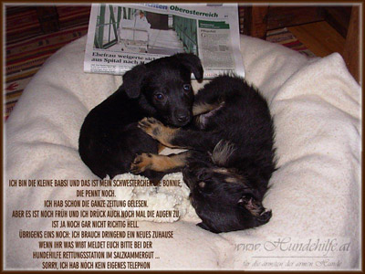 Bibi, Babsi und Bonni