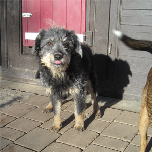 paulinchen